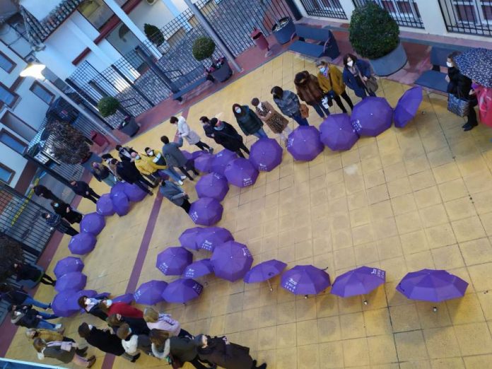 Lazo Violeta