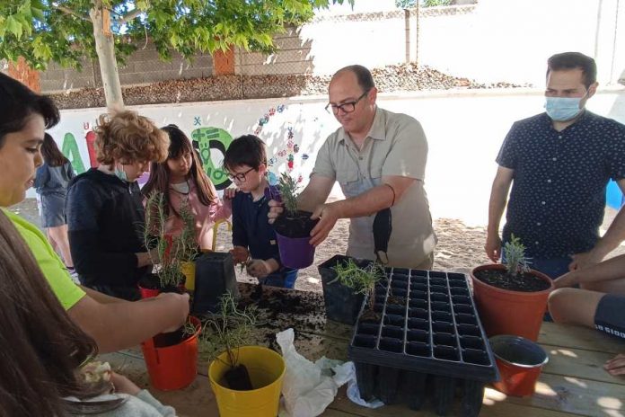 plantacion colegios