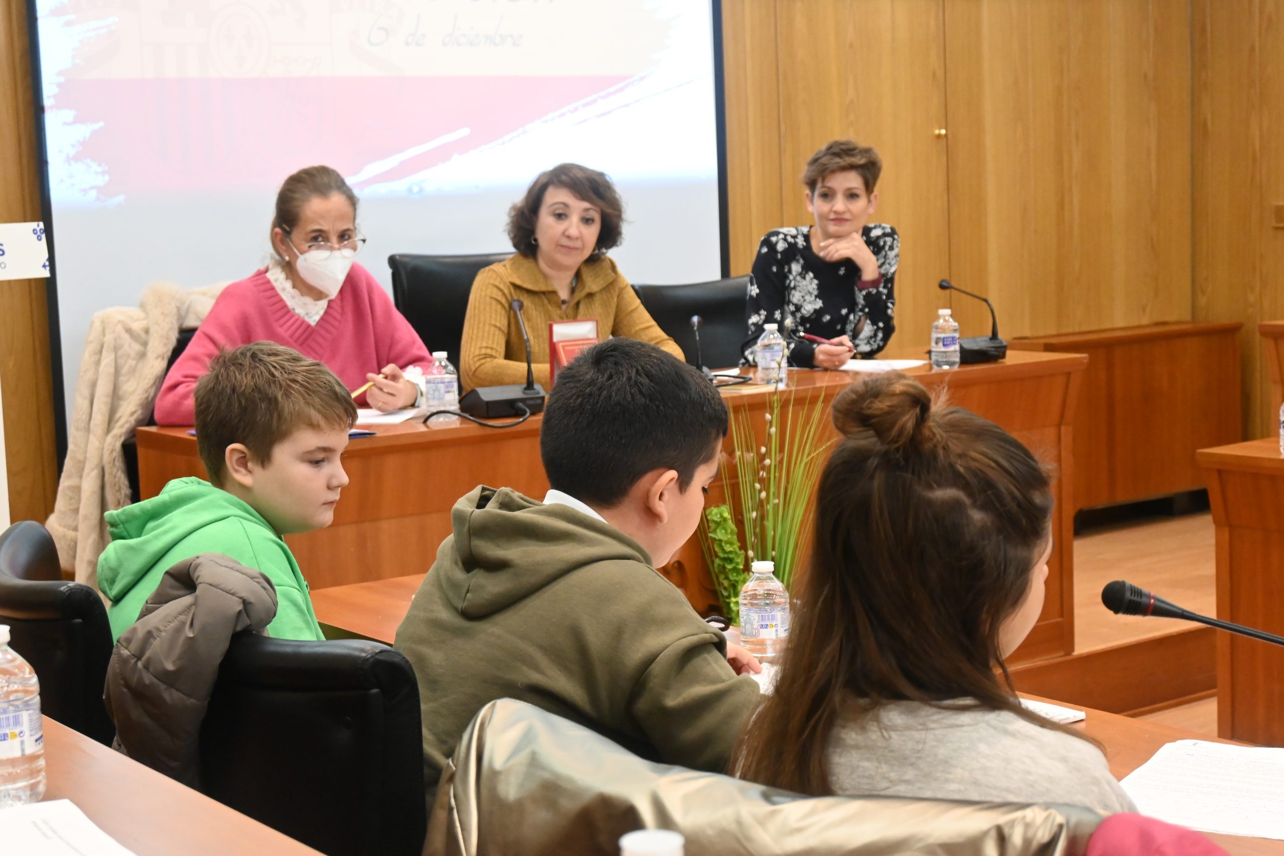 CONSTITUCION-2