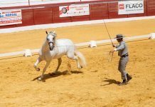 La II Feria Agroganadera Equus se celebrará del 28 al 30 de abril