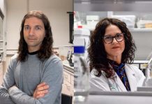 Los investigadores socuellaminos Sonia Medina y Carlos Romero unen fuerzas para innovar en la química alimentaria a partir de los subproductos de la uva