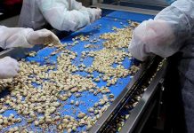 Una gran planta de procesado de pistachos se instalará en Socuéllamos