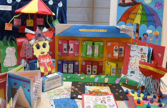 dipu concurso constitucion