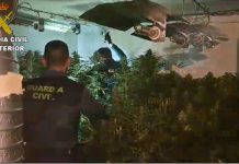 La Guardia Civil detiene a una persona por exhibicionismo en la localidad de Campo de Criptana