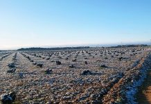 SOCUÉLLAMOS AMANECE CON LOS RESTOS DE LA PEQUEÑA NEVADA DE ANOCHE