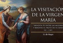 Santoral del 31 de mayo. Día de la Visitación de la Virgen María. Visitación, Petronila, Félix, Hermias, Noé y Silvio.