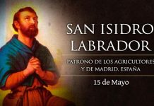 Santoral del 15 de mayo. Isidro, Aquileo, Caleb, Dimpna, Juana, Reticio, Ruperto, Severino, Simplicio, Torcuato y Witesindo.