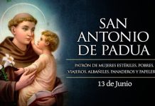 Santoral del 13 de junio. Antonio, Fandila, Aquilina, Aventino, Ceteo, Eulogio, Felícula y Trifilio.
