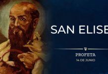 Santoral del 14 de junio. Anastasio, Digna, Eliseo, Félix, Fortunato, Metodio, Proto, Rufino, Valerio y Elerio.
