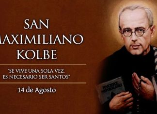 Santoral del 14 de agosto. Alfredo, Maximiliano, Arnulfo, Eusebio, Facanano, Marcelo, Tarsicio y Ursicino.