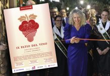 INAUGURADO EL IX PATIO DEL VINO
