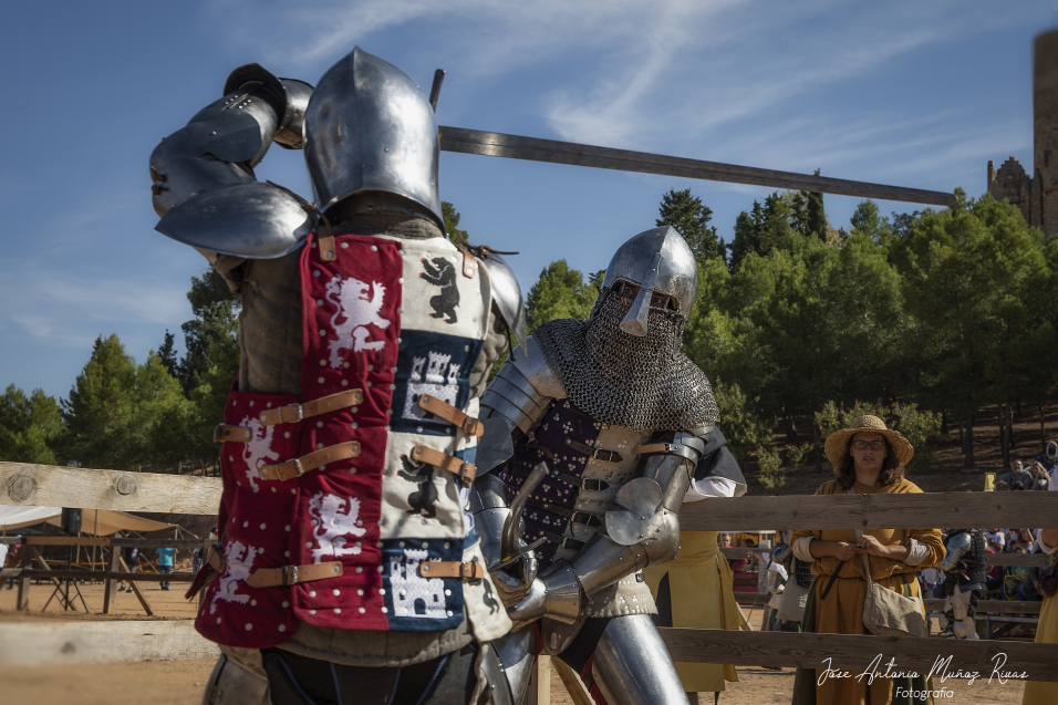 Imagen www.castillodebelmonte.com