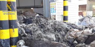 Imagen Guardia Civil