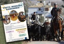 LA ASOCIACIÓN CULTURAL TAURINA DE SOCUÉLLAMOS ORGANIZA UN VIAJE A LA GANADERÍA DE NAZARIO IBÁÑEZ