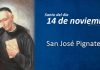 Santoral del 14 de noviembre. José, Adeltrudis, Alberico, Andrónico, Antigio, Dubricio, Esteban Teodoro, Hipacio, Jocundo, Juan, Lorenzo, Rufo, Serapión, Siardo, Teodoto, Trahamunda, Venerando y Vitón.