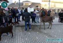 Desfile y bendición de animales de San Antón