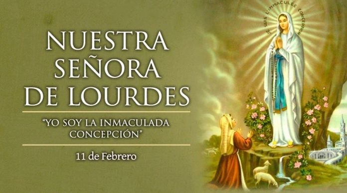 11 FEBRERO