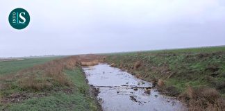 Puente de la Casa de las Mulas