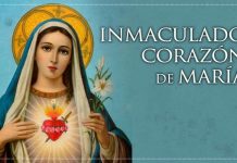 Santoral del 13 de junio. INMACULADO CORAZÓN DE MARÍA. Antonio, Fandila, Aquilina, Aventino, Ceteo, Eulogio, Felícula y Trifilio.