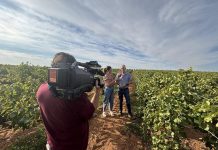 Foto procedentes de las RRSS de EHD