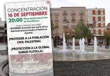 Colectivos pro-Palestina de CLM convocan una concentración en la Plaza de la Constitución