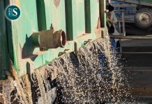 Cooperativas Agro-alimentarias de España actualiza su previsión de vendimia a 34 millones de hectolitros