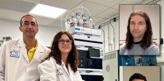 Raúl Domínguez y Sonia Medina, investigadores del CEBAS-CSIC. Junto con los investigadores de la UCLM, Pablo Fuentes y Carlos Romero, participantes en el estudio.