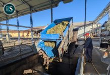 Cooperativas Agroalimentarias CLM revisa a la baja la previsión de la vendimia por las altas temperaturas de agosto.
