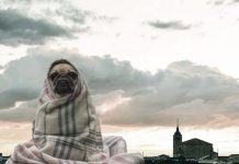 Esta semana se espera una bajada importante de las temperaturas