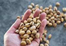Importantes subidas del precio del pistacho registradas en la última sesión de la Lonja de Albacete