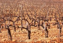 Socuéllamos afronta una semana con ambiente invernal y posibles lluvias antes del fin de semana