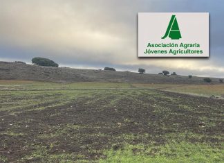 ASAJA Ciudad Real denuncia la falta de control de la fauna silvestre ante los graves daños del jabalí en el Campo de Montiel