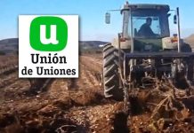 Unión de Uniones reclama arranque social y financiación suficiente para afrontar la crisis del sector vitivinícola