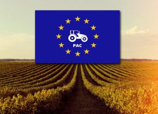 El plazo para solicitar la PAC comenzó el 1 de febrero y se prolongará hasta el 30 de abril