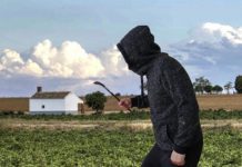 ASAJA Ciudad Real celebra el endurecimiento de las penas por hurto en el campo y el avance legal frente a la reincidencia