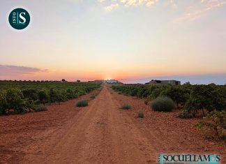 Sigue el calor en Socuéllamos con un ascenso progresivo de cara al fin de semana