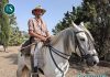 Las vacas trashumantes de la familia Belenchón llegan al paraje de Titos.