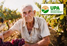 Las explotaciones familiares de Castilla-La Mancha en riesgo de extinción