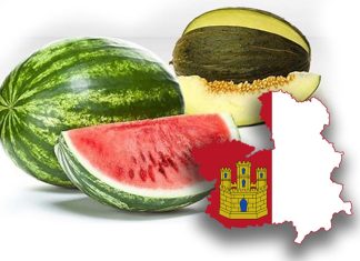 El precio de la sandía sufre un revés mientras que el melón mantiene el tipo en la última mesa de precios