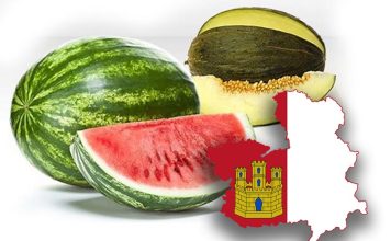 El precio de la sandía sufre un revés mientras que el melón mantiene el tipo en la última mesa de precios