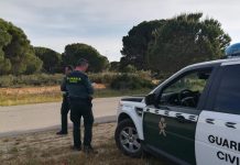 La Guardia Civil concluye sin hallazgos el rastreo de un supuesto león en la Sierra de San Vicente
