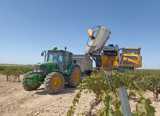 ASAJA Ciudad Real constata una merma de cosecha en el inicio de la vendimia