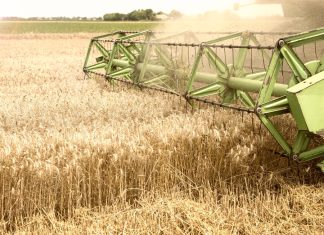 El pago anticipado de la PAC divide al campo: Murcia y Castilla y León toman la delantera frente a los retrasos en Castilla-La Mancha