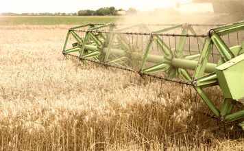 El pago anticipado de la PAC divide al campo: Murcia y Castilla y León toman la delantera frente a los retrasos en Castilla-La Mancha